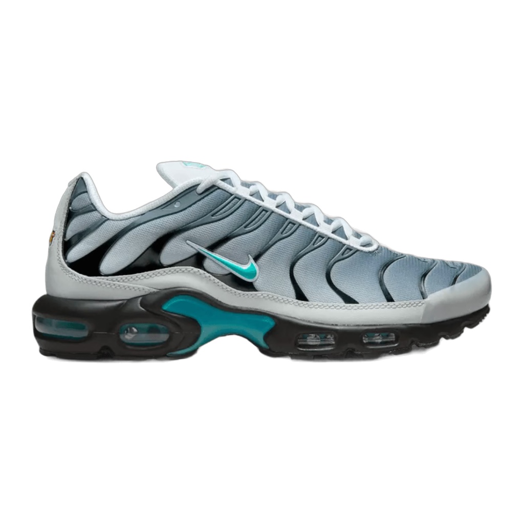 Nike Air Max Plus Tn x One Block Down Matte Silver