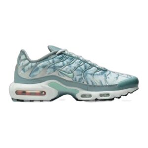 nike-air-max-plus-origins-waterway
